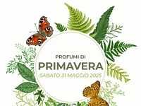 Cena "Profumi di Primavera" al Rifugio Malga Ronchetto – Foza, sabato 31 maggio 2025