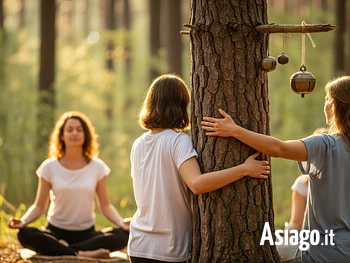 Meditazione nel bosco sull'Altopiano di Asiago
