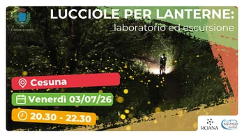 lucciole per lanterne laboratorio ed escursione co
