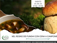 Nel regno dei funghi con cena  | Sabato 14 giugno 2025 dalle 17.00