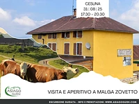 ESCURSIONE GUIDATA "Visita e aperitivo a Malga Zovetto" - Cesuna, domenica 31 agosto 2025