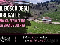 M05 il bosco degli urogalli 12 09 26