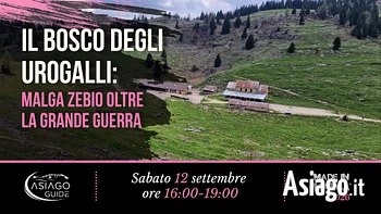 M05 il bosco degli urogalli 12 09 26