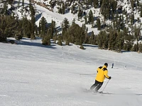 Skiing 815008 1280