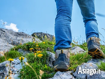 Escursione guidata sull'Altopiano di Asiago Sette Comuni