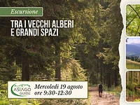 E23 Tra i vecchi alberi e grandi spazi 19 08 26