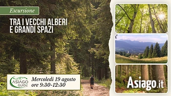 E23 Tra i vecchi alberi e grandi spazi 19 08 26