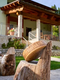 A wheel of Asiago PDO cheese at the Alpine Refuge