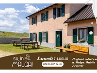 UP, TO THE MALGA! "Scents, colors and flavors at Malga Meletta Lemerle" - Monday, July 21, 2025