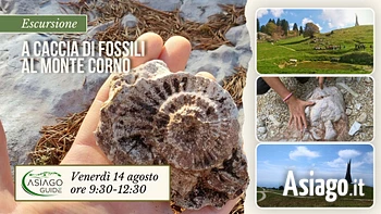 E19 A caccia di fossili al monte corno 14 08 26