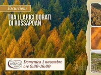 O02 Tra i larici dorati di Rossapoan 01 11 26