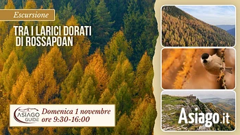 o02 tra i larici dorati di rossapoan 01 11 26