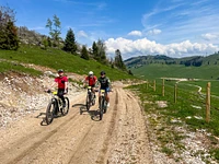 Tour in e-bike sulle tracce di Vaia del Rifugio Valmaron