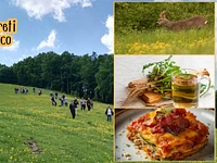 S13 Tutti i segreti del Tarassaco con pranzo a tema 03 05 26