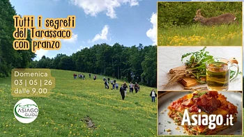 s13 tutti i segreti del tarassaco con pranzo a tem