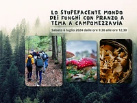 Lo stupefacente mondo dei funghi con pranzo - Sabato 6 luglio 2024 dalle ore 9.30