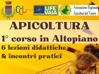 BEEKEEPING COURSE in Gallio - from 21 November 2023 to 6 February 2024