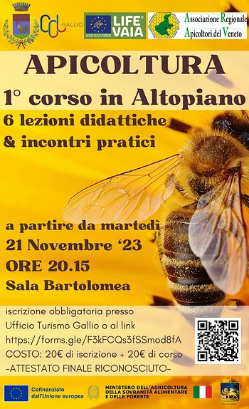 Corso di apicoltura a Gallio