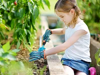 "COLTIVI-AMO" Laboratorio per bambini e adulti - Treschè Conca, 9 agosto 2023