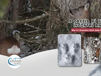 A caccia di tracce: incontri animali | Mar 31 dicembre 2024 dalle 9.00