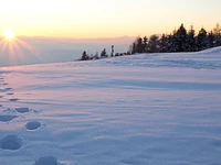 Musical snowshoeing for families in Treschè Conca di Roana - 30 December 2022