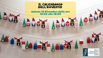 Il Calendario dell'Avvento: laboratorio per bambini al Museo Naturalistico di Asiago - 10 dicembre 2022