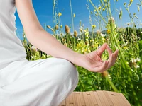 "Andar per erbe... meditando" escursione botanica e meditativa - Cesuna, 31 agosto 2024