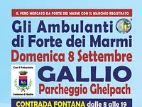"Gli Ambulanti di Forte dei Marmi” a Gallio - domenica 8 settembre 2024