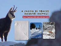 A caccia di tracce: incontri animali | Dom  19 gennaio 2025 dalle 9.30