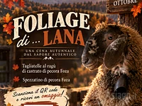 “Foliage di... Lana” CENA AUTUNNALE con specialità di pecora Foza - Cesuna di Roana, sabato 17 ottobre 2026