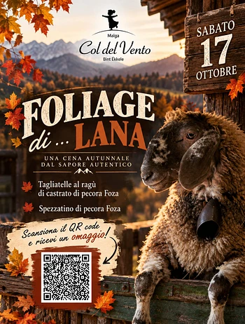 cena foliage di lana a malga colde del vento a ces