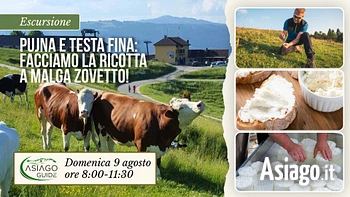 E13 facciamo la ricotta a Malga Zovetto 9 08 26