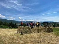 Esperienza in fattoria didattica per famiglie