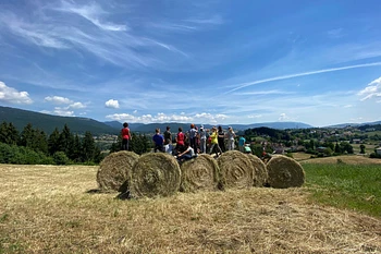 Esperienza in fattoria didattica per famiglie