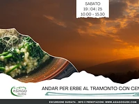 Sunset Herb Hunting with Dinner | Saturday 19 April 2025 from 17.00