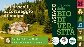 A05 Dai pascoli al formaggio di malga 250726