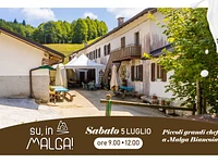 UP, TO THE MALGA! "Little big chefs at Malga Biancoia" visit to the malga with culinary workshop - Saturday 5 July 2025