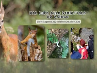 Dal lupo allo scoiattolo ad Asiago - Giovedì 15 agosto 2024 dalle 9.30