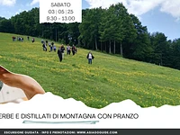 Tra erbe e distillati di montagna con pranzo a tema  | Sabato 3 maggio 2025 dalle 9.30