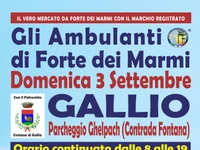 "Gli Ambulanti di Forte dei Marmi” a Gallio - domenica 3 settembre 2023