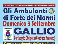 Mercato de Gli ambulanti di Forte dei marmi a Gallio settembre 2023