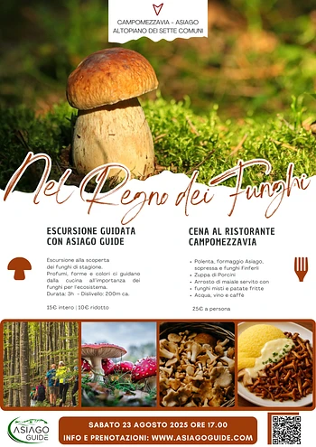 Locandina funghi