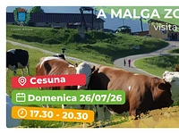 Escursione con "Visita e aperitivo a Malga Zovetto - Cesuna, domenica 26 luglio 2026