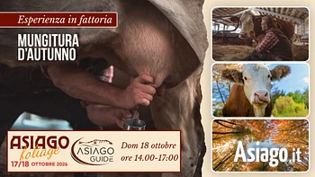F03 Mungitura d’autunno 18 10 26