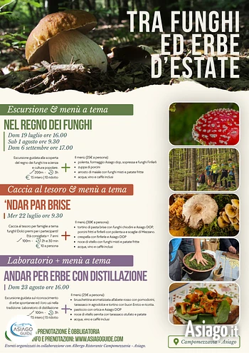 Funghi ed erbe asiago guide