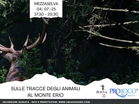ESCURSIONE "Sulle tracce degli animali al Monte Erio" - Mezzaselva, venerdì 4 luglio 2025 
