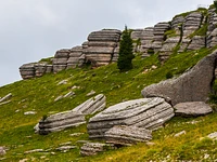 A year on the Plateau: between Mount Fior and the city of rock - Gallio (VI), 14 August (9.00-13.00)