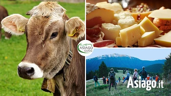 Estate 2023 asiago guide