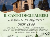 Live-Musikveranstaltung "Il canto degli alberi" in der Piana di Marcesina - Enego, 19. August 2023