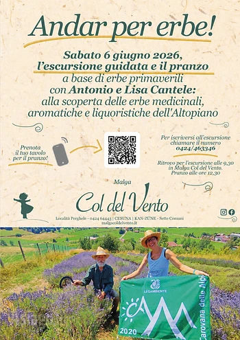 andar per erbe a malga col del vento 6 giugno 2026